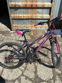 24” Bike for sale 