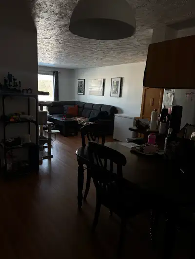 Grand 4 1/2 à 1204$/mois. Disponible pour le 1er mars Inclusions: Eau chaude Ascenseur Piscine extér...