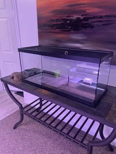 20 Gallon terrarium , View more