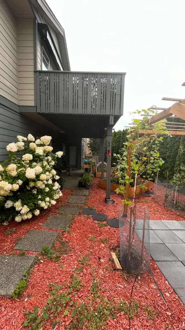 1-Bedroom Private Suite62854406888067121