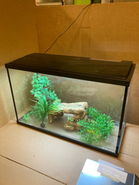 29 Gallon/110 Litre Aquarium Kit