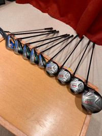 Affinity SR Stainless = Drivers 1,3,5,7  Irons 5,7,8,PW,SW,putte