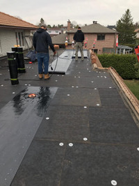 Roofing repairs starting $199
