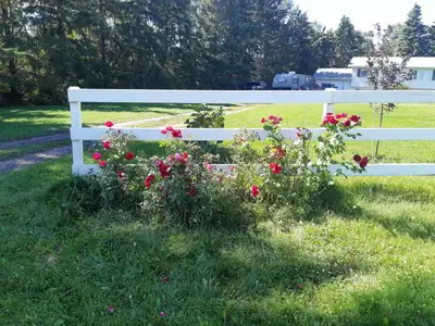 Big, beautiful acreage for rent!