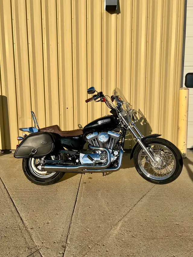 2006 Harley Davidson Sportster 1200 Low in Street, Cruisers & Choppers in Saskatoon - Image 4