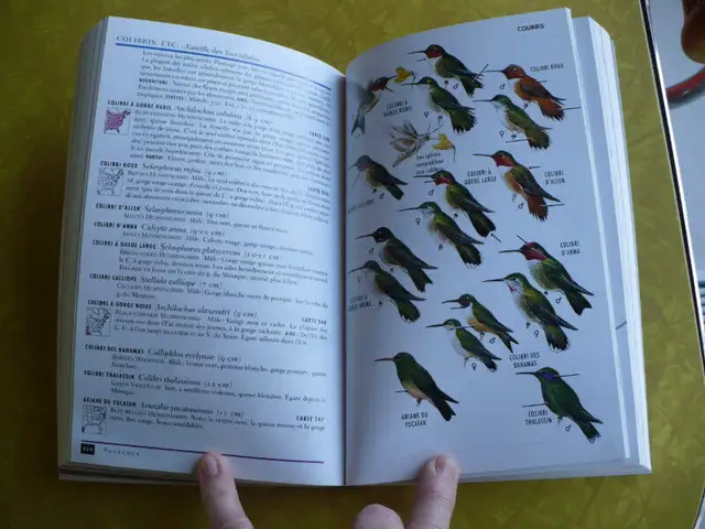 LES OISEAUX DU QUÉBEC ( ROGER TORY PETERSON )62863728307457122