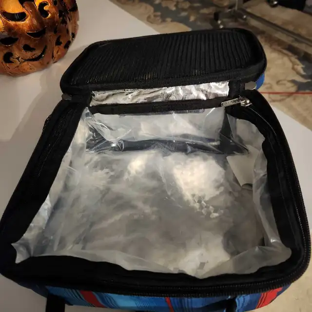 Insulated Lunch Bag in Other in Kingston - Image 4