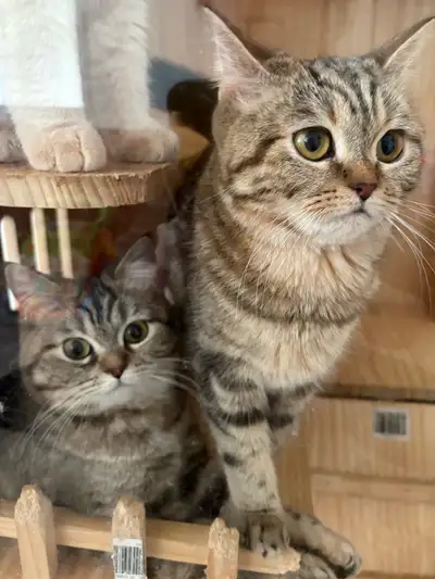 REDUCED Prices, View more