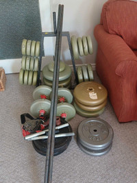 Dumbell Weights and weight bench