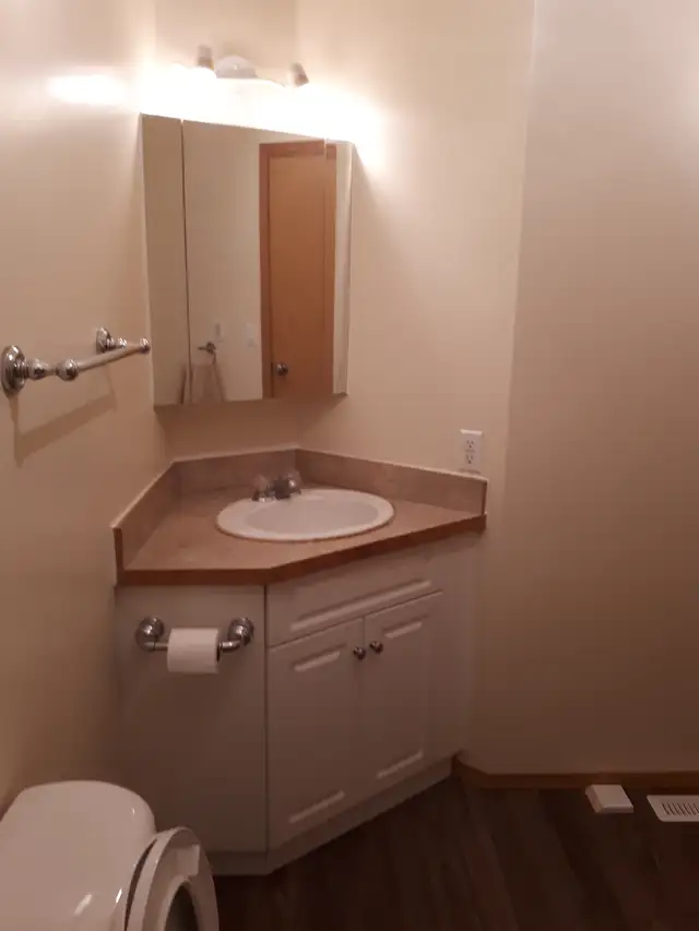 1 Bedroom Suite in Long Term Rentals in Winnipeg - Image 6