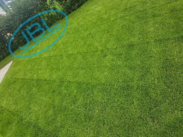 Lawn Service - Weed Control - Tree Trimming - 529-5554 in Lawn, Tree Maintenance & Eavestrough in Medicine Hat - Image 8