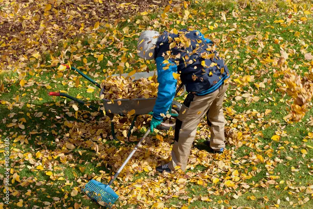  Fall Cleanup – Downtown Toronto (Flat Rates) 63694109264899120