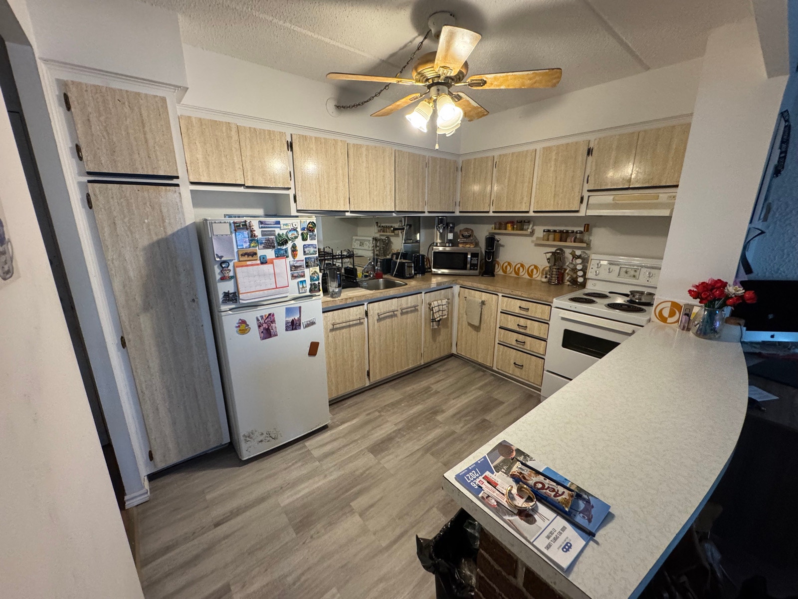 1 bed 1 bath appartment for rent — photo 2