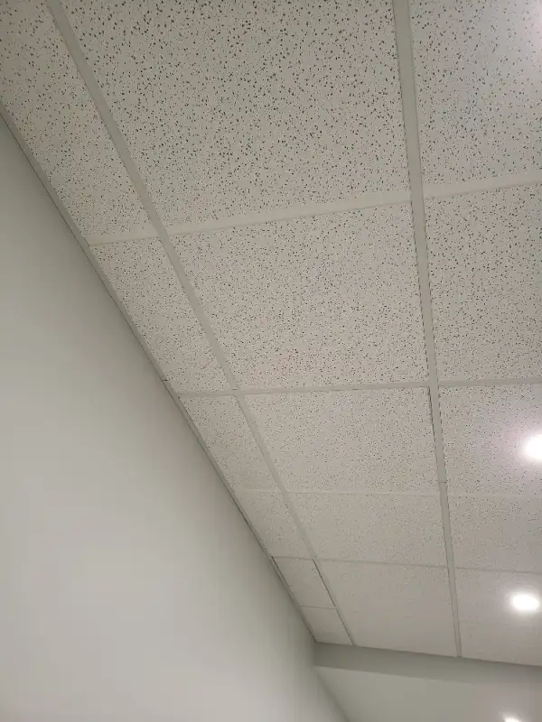 2' X 4' Ceiling tiles, New, "Radar" style has the look of 2 X 263010223774081124