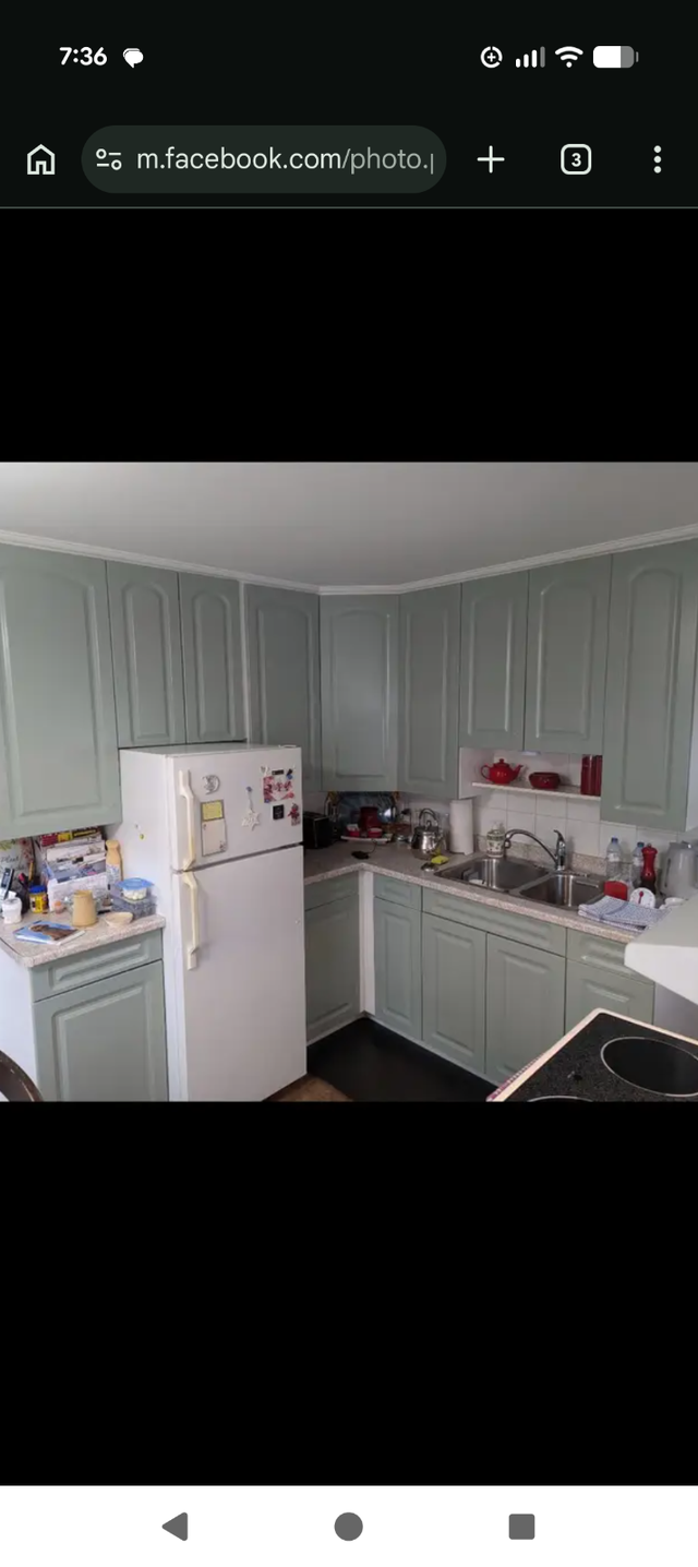 Painter. 25+ years experience.601415051306618884