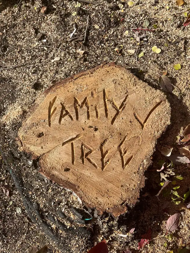 FAMILY TREE SERVICE  306-230-6910 in Snow Removal & Property Maintenance in Saskatoon - Image 6