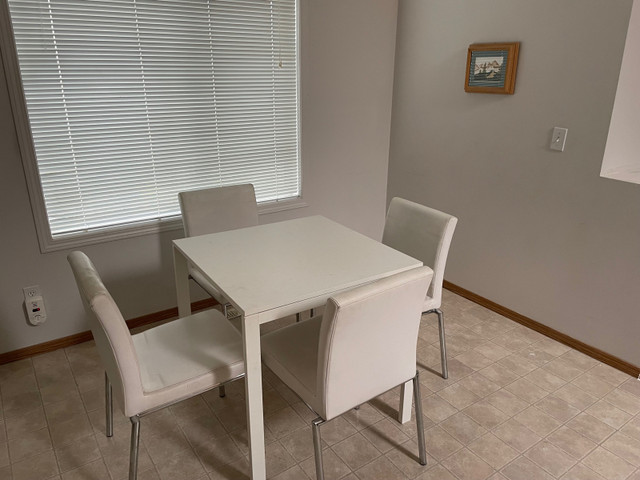Quiet Furnished Room for Rent with use of House: Near Panorama in Room Rentals & Roommates in Calgary - Image 3