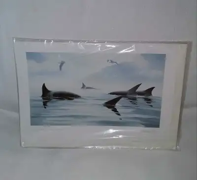 Whales Masters of the Inlet Bruce Muir Art Card Print 9x6 Vtg 90, View more