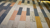 Area Rug (Carpet) + Padded Underlay 8' x 10'
