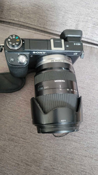 Sony Nex-6 camera & Tamron 18-200mm lense