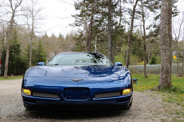 2003 Corvette Z06 Mint Low Kms Financing Available  in Cars & Trucks in Bedford - Image 3