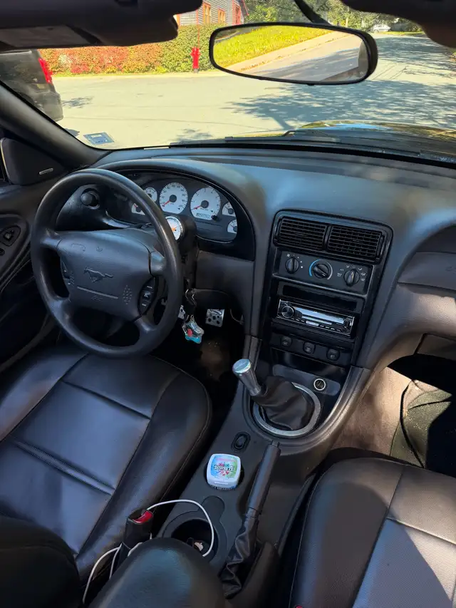 2002 Mustang manual601862351137034246
