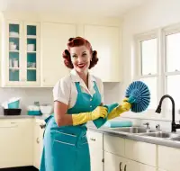 Maid My Day House Cleaning