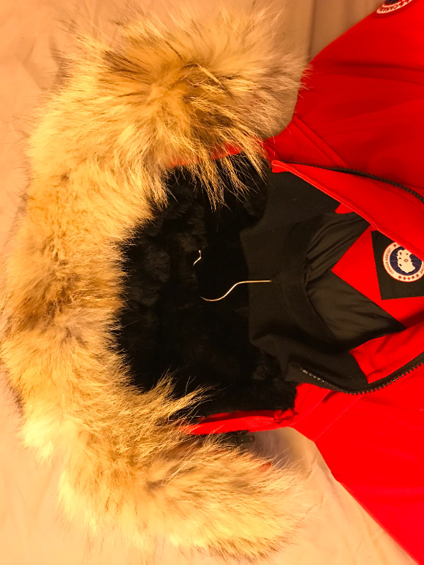 Canada Goose Kensington Parka Jacket in Women's - Tops & Outerwear in City of Toronto - Image 2