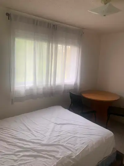Room central Whitby in nice home. Available now.