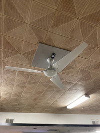 Ceiling fans. 