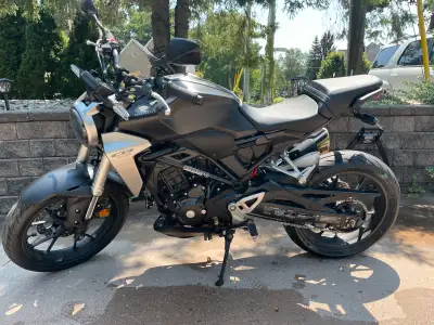 CB300R Honda 2019 Approx 6700km Oil done at end of season last year. S22 Bridgestone tires. Phone mo...