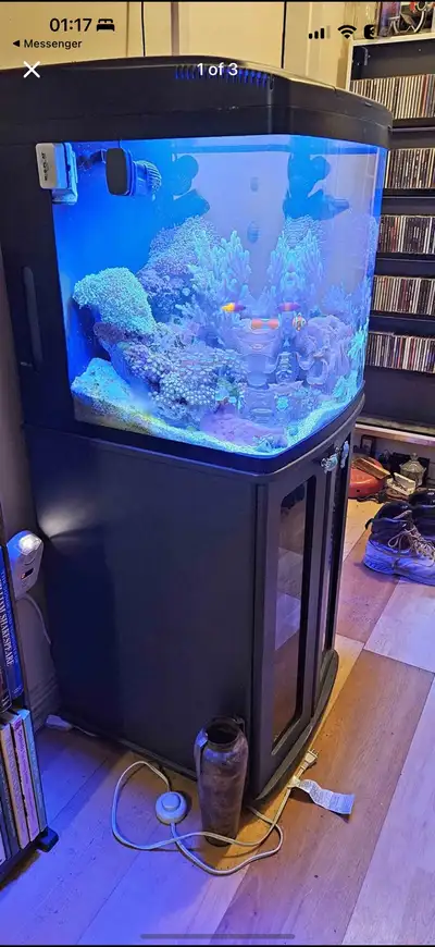 BioCube 32 Gallon Aquarium Kit – Everything Included Selling my 32-gallon BioCube aquarium setup — g...