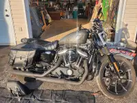 2019 Harley Sportster 883