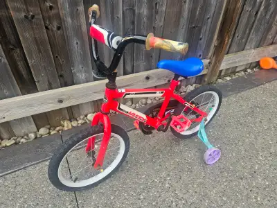 Just needs the back tire pumped up or repaired if needed