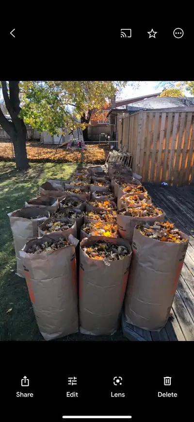 Lawn maintenance/grass cutting, View more