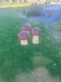 Wood mushrooms