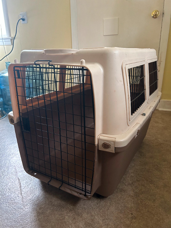 Medium size dog crate in Accessories in Bedford