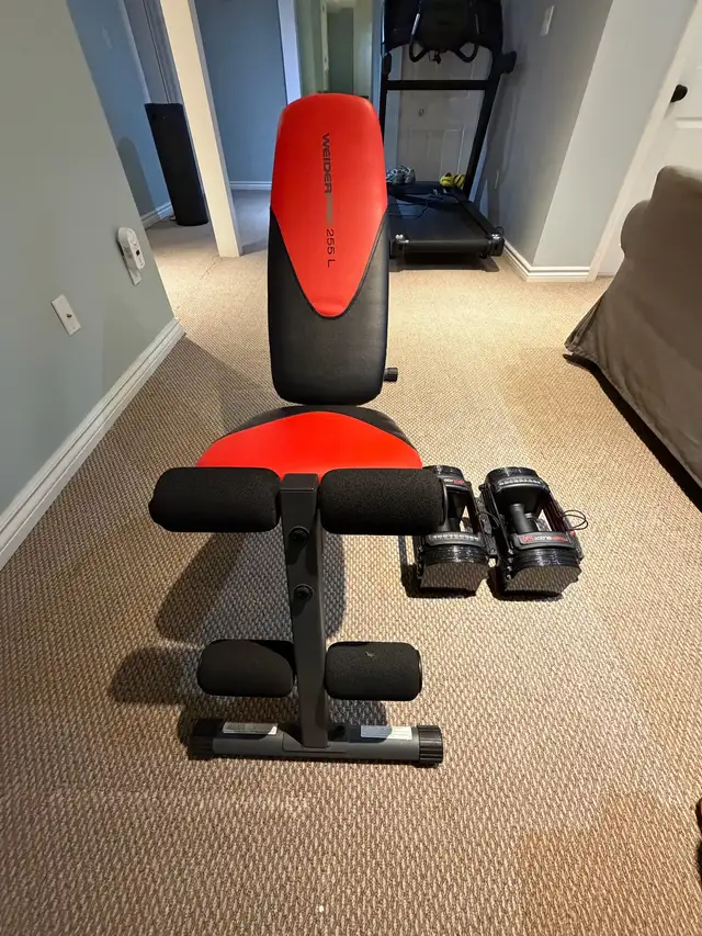 power block EXP 5-50lbs and adjustable bench582841660888862721