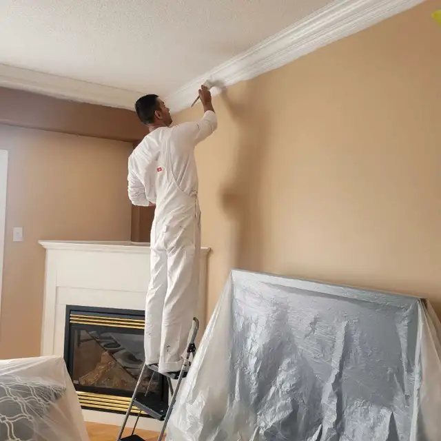 Extremely professional painter available at a discounted price!628632199984651225