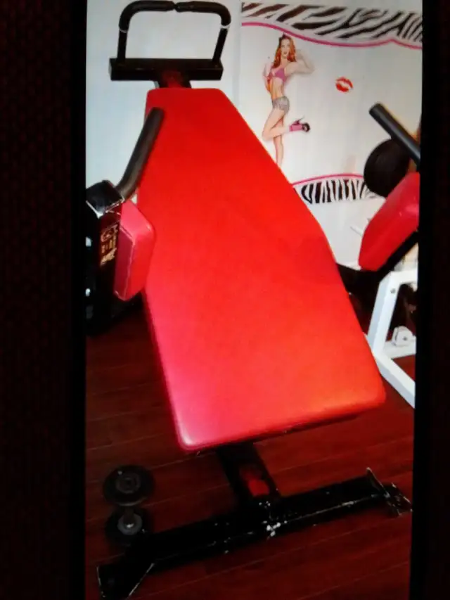 Commercial grade adjustable abdominal bench - swap for weights** in Exercise Equipment in City of Toronto - Image 3