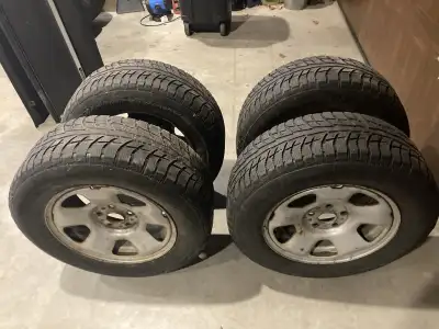BFGoodrich Winter T/A 245/45/R17 off a 2011 Honda Ridgeline. Rims in really good condition and tire...