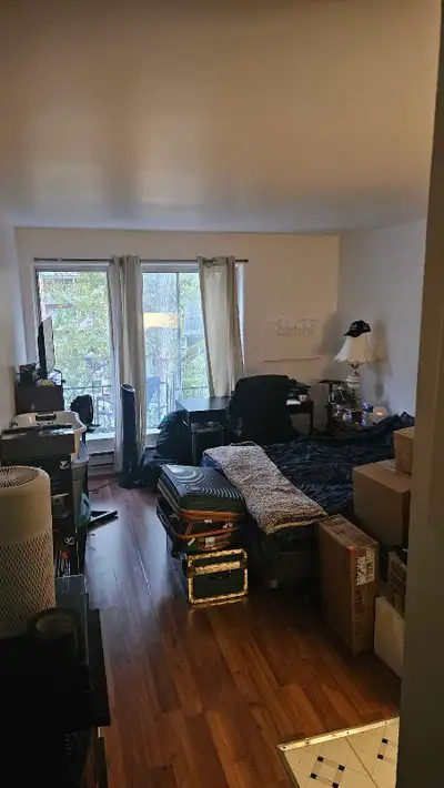I just moved and am not adjusting to the city well, and wishing to leave my apartment for something...