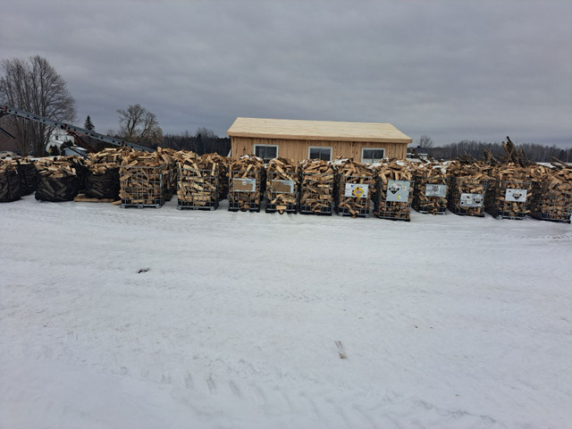 Firewood for sale in Other in Ottawa - Image 2