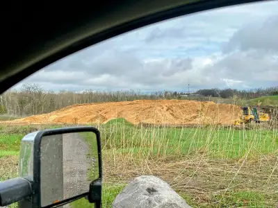 wood chips free, View more