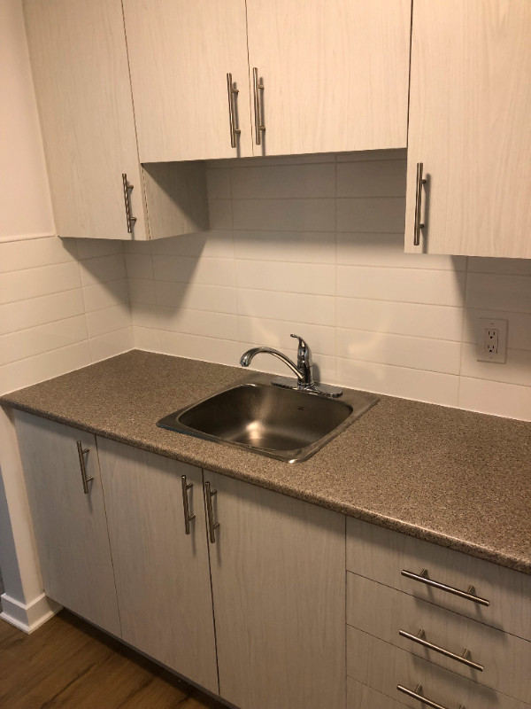 apartment for rent 41/2 in Saint lambert (Longueuil) J4S 1G8