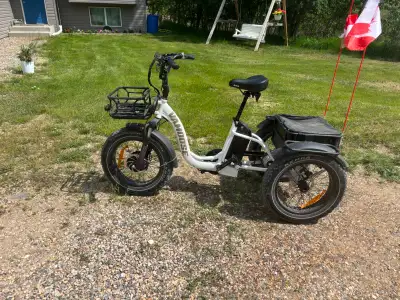 Vamoose Fat Tire E-Trike DST, View more