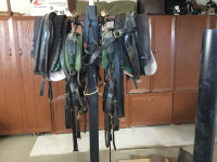 Team driving harness for sale 