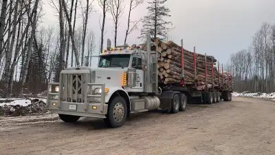 Log Truck Driver, View more