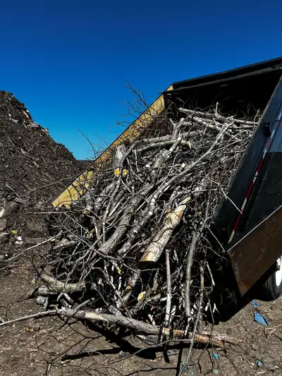 Are you tired of clutter and junk taking over your space and property? Let us at Capitol Property Ma...