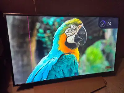 43" onn 4K ROKU SMART TV.DETAILS/PICTURES/VIDEO IN AD, View more